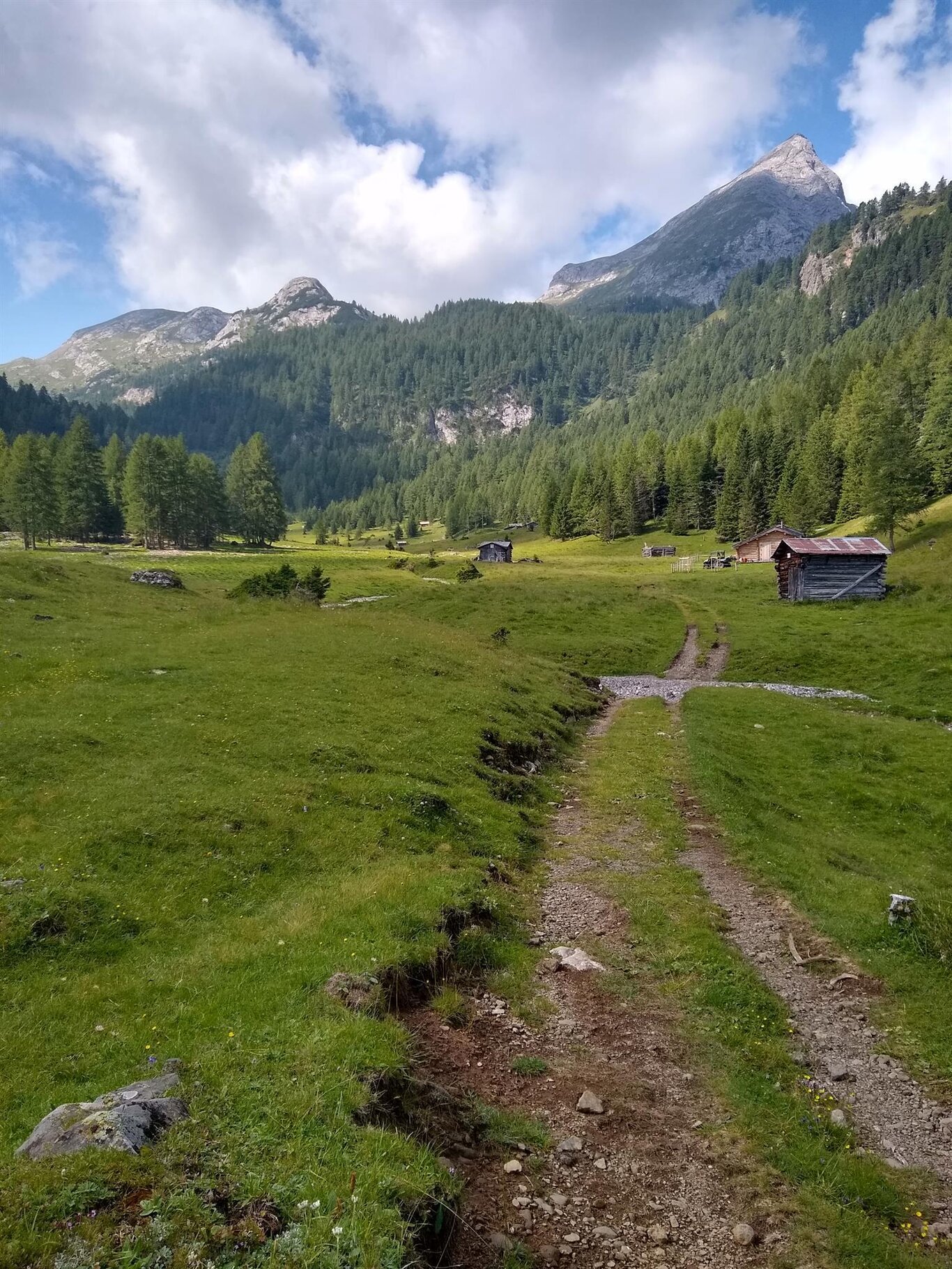 Franzei Franzei