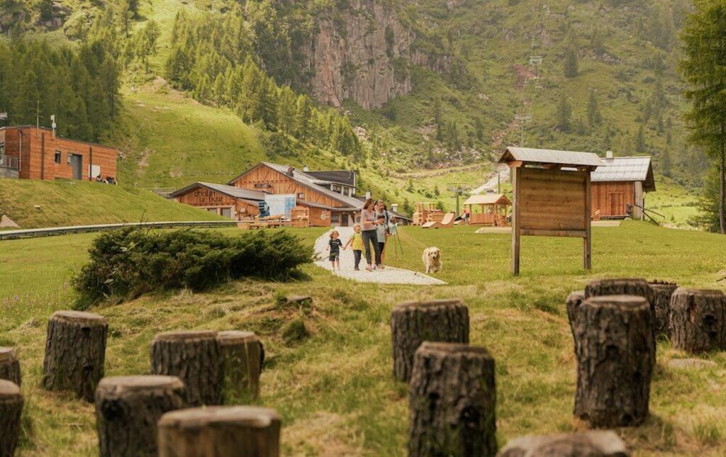 bosco artisti tutti