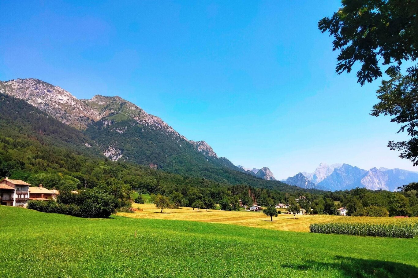 panorama