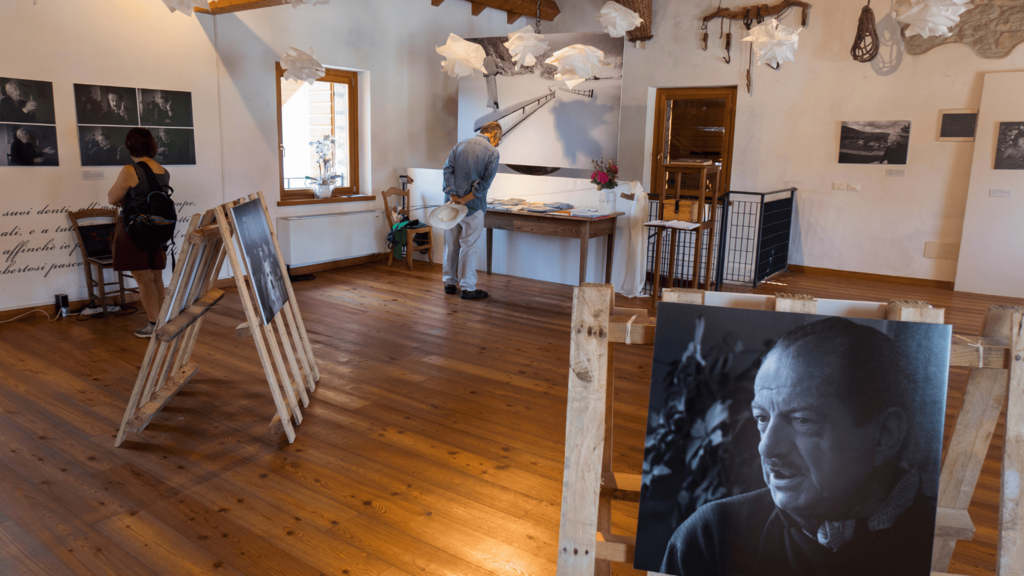 vejo interno 1