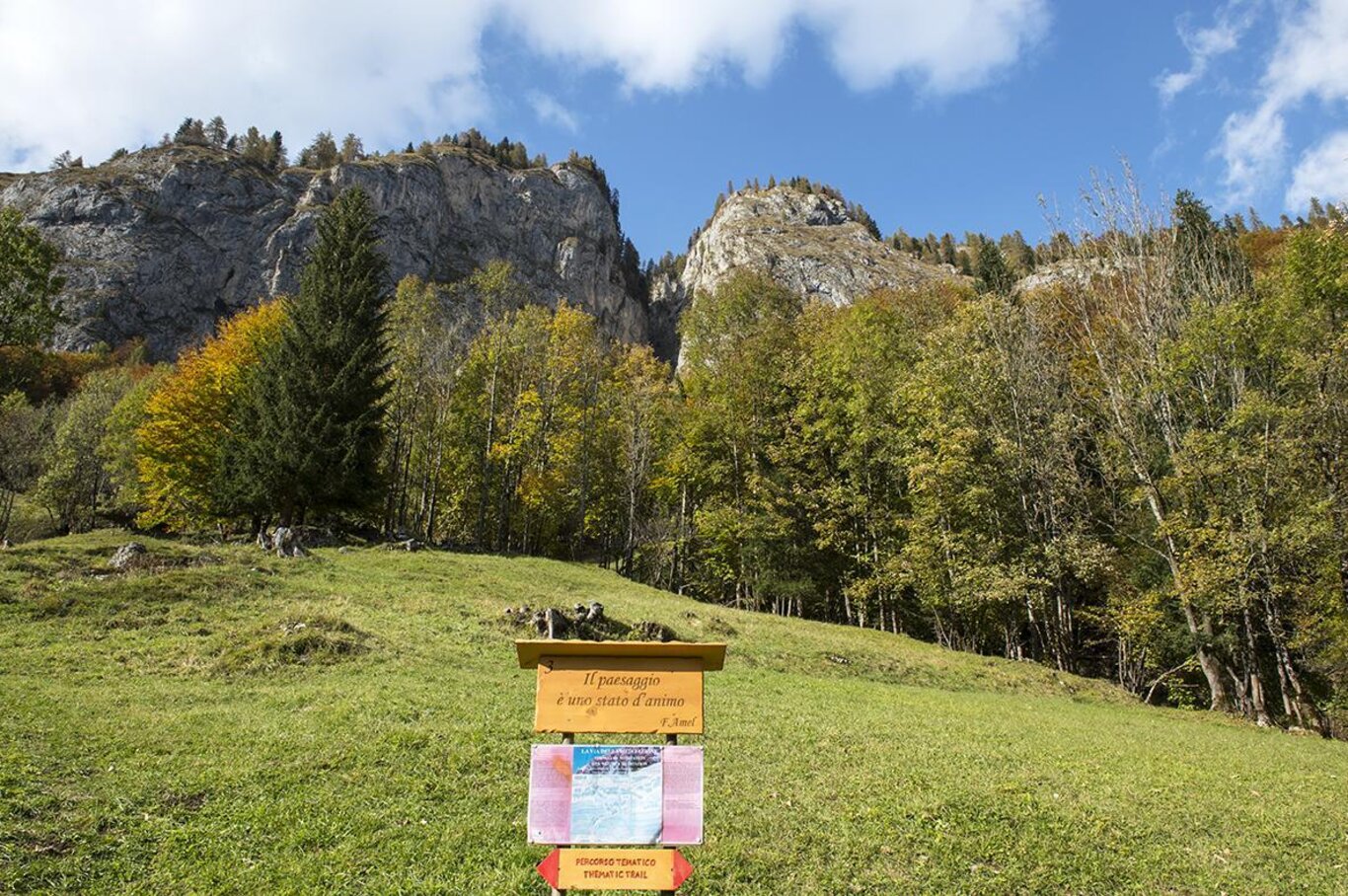 Faggeta di Sottoguda