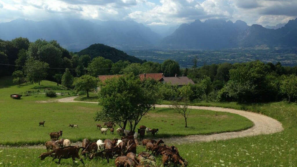 La Schirata d'estate