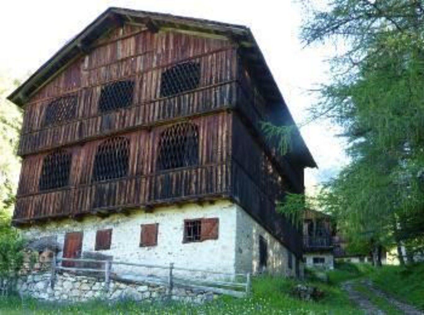 Foto 1 Foto 1