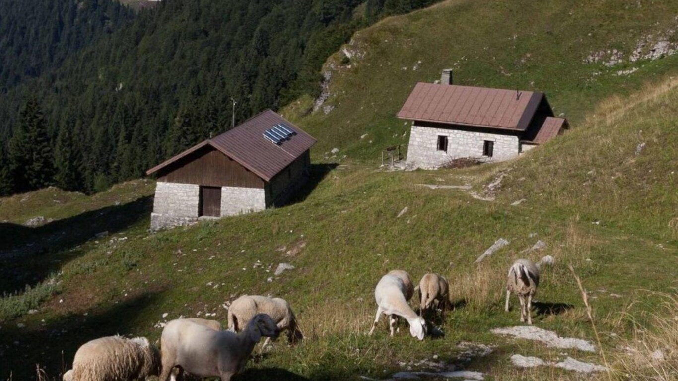 Malga Cason dei Lebi Malga Cason dei Lebi