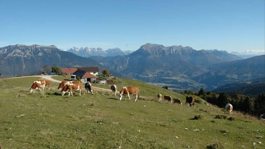 Vista dalla malga