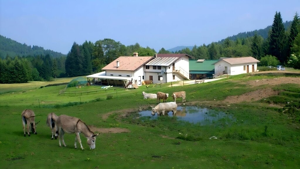 Malga Montegal