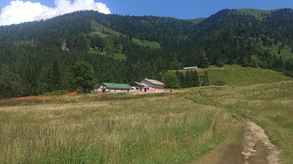 La zona 2