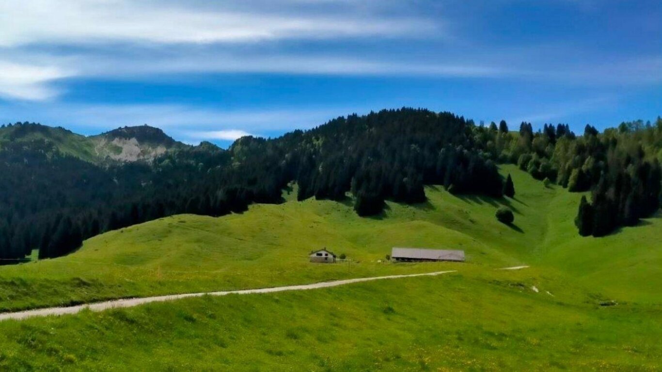 Malga Valpore di Cima Malga Valpore di Cima