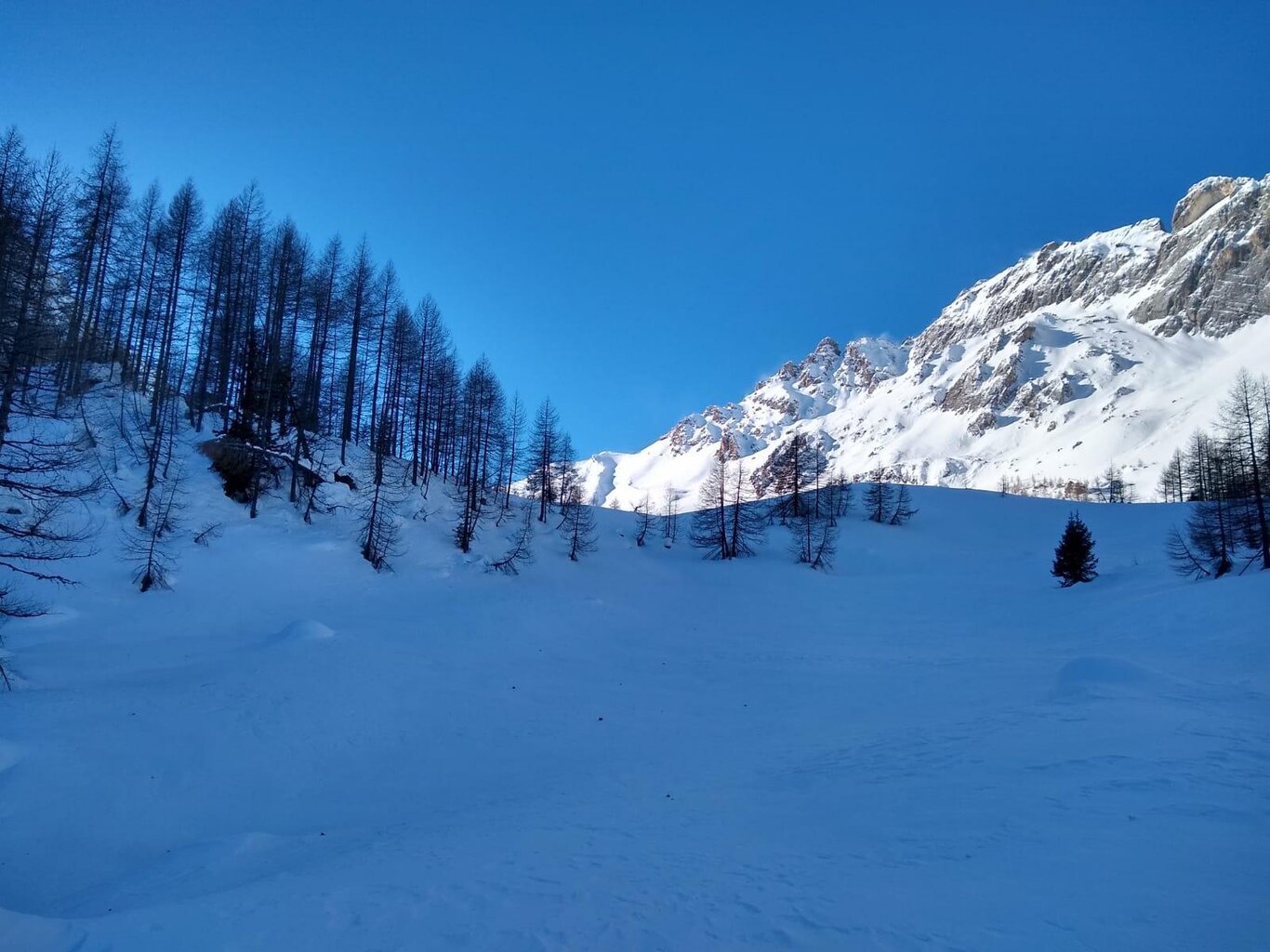 Verso Forca Rossa Verso Forca Rossa