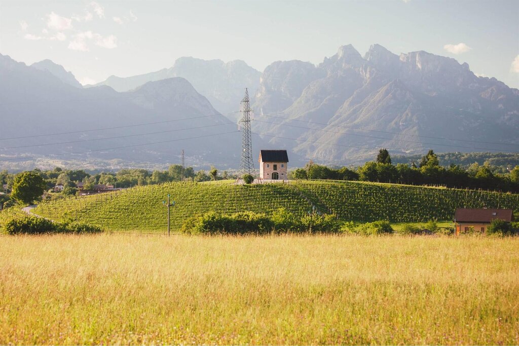 Azienda Pagnan
