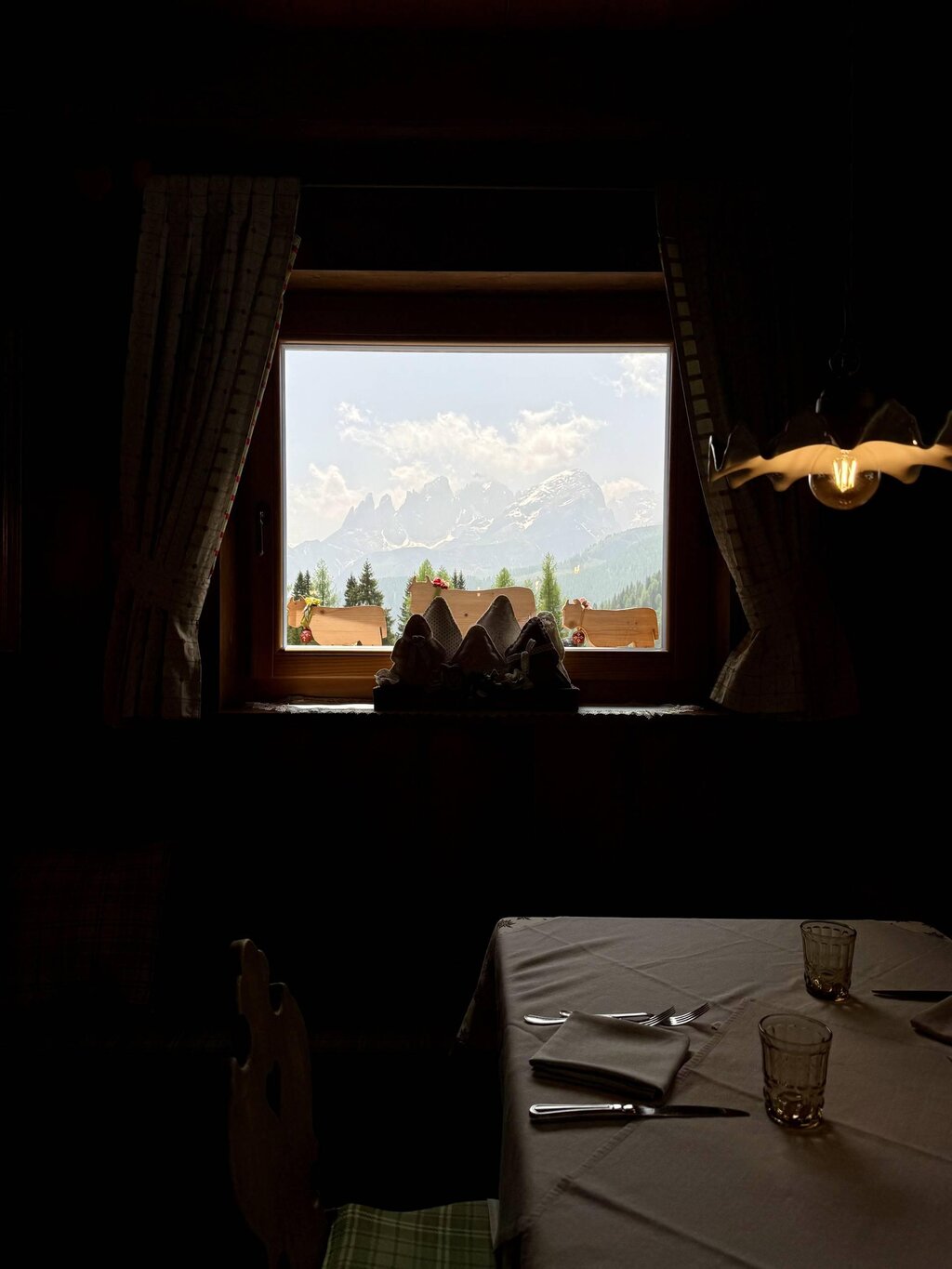 flora alpina interno