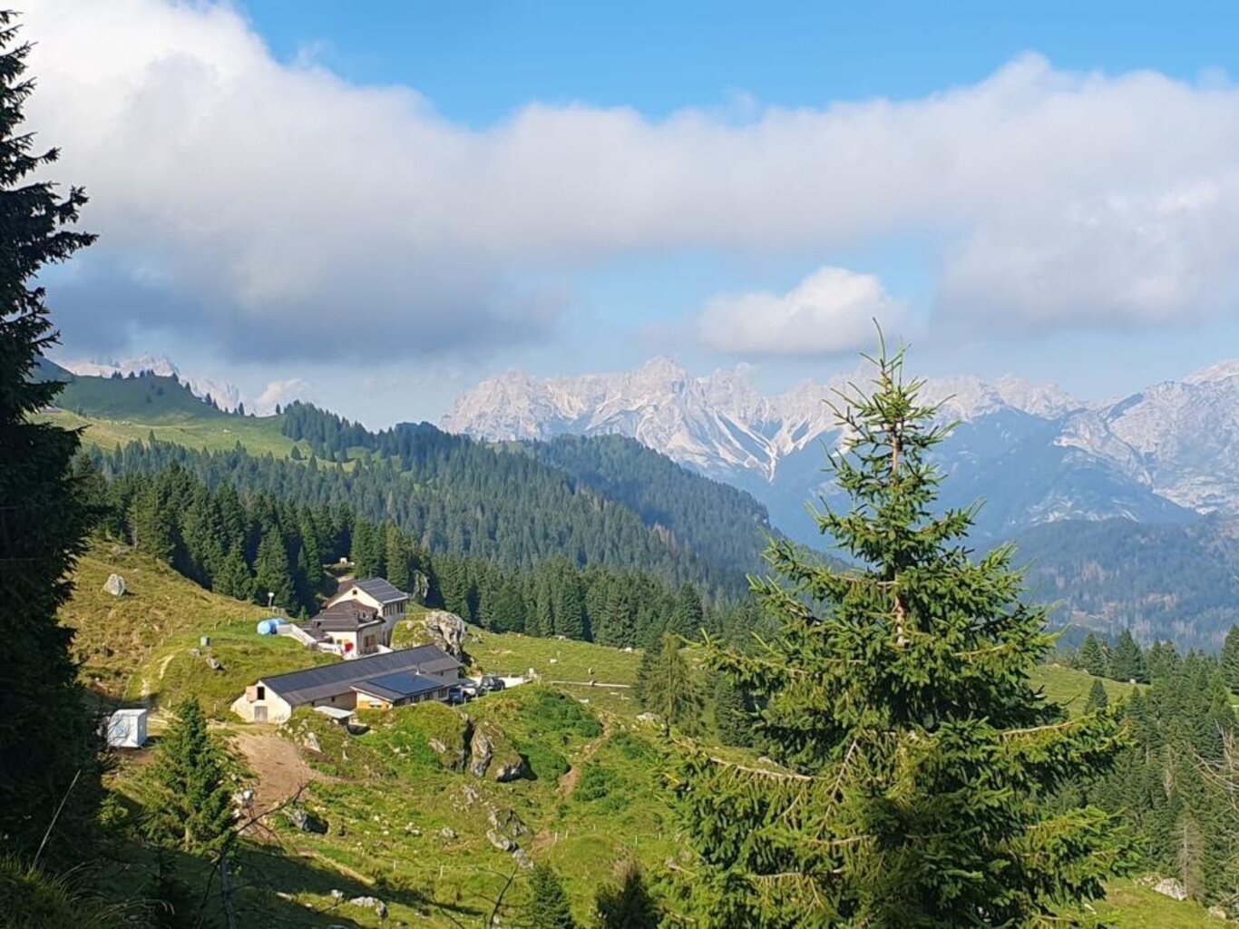 CAVALLERA