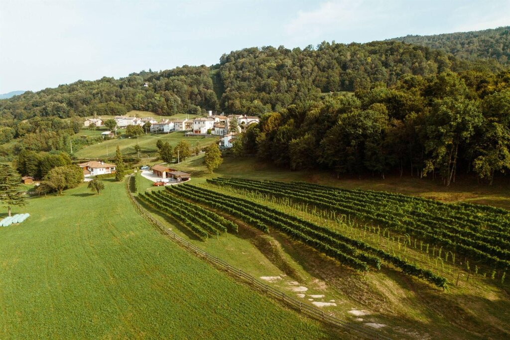 vista azienda