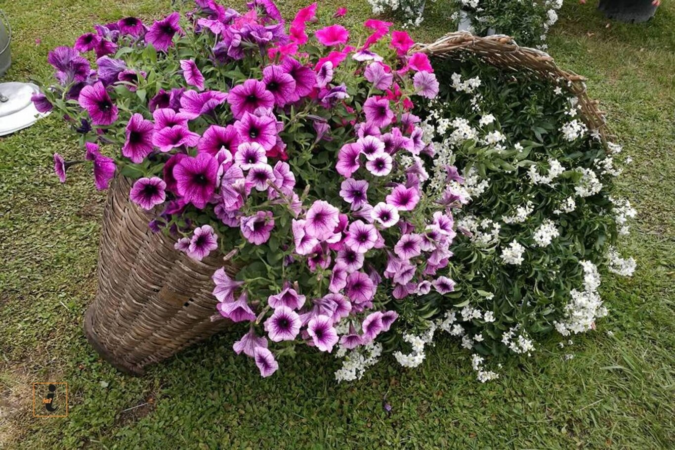 32° Mostra Mercato Fiori e Piante da Frutto