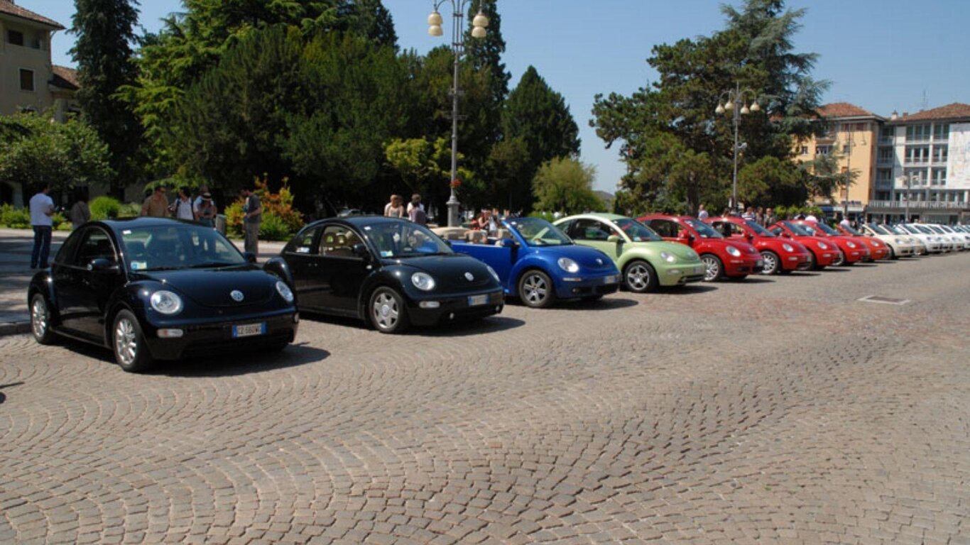 Beetle Club