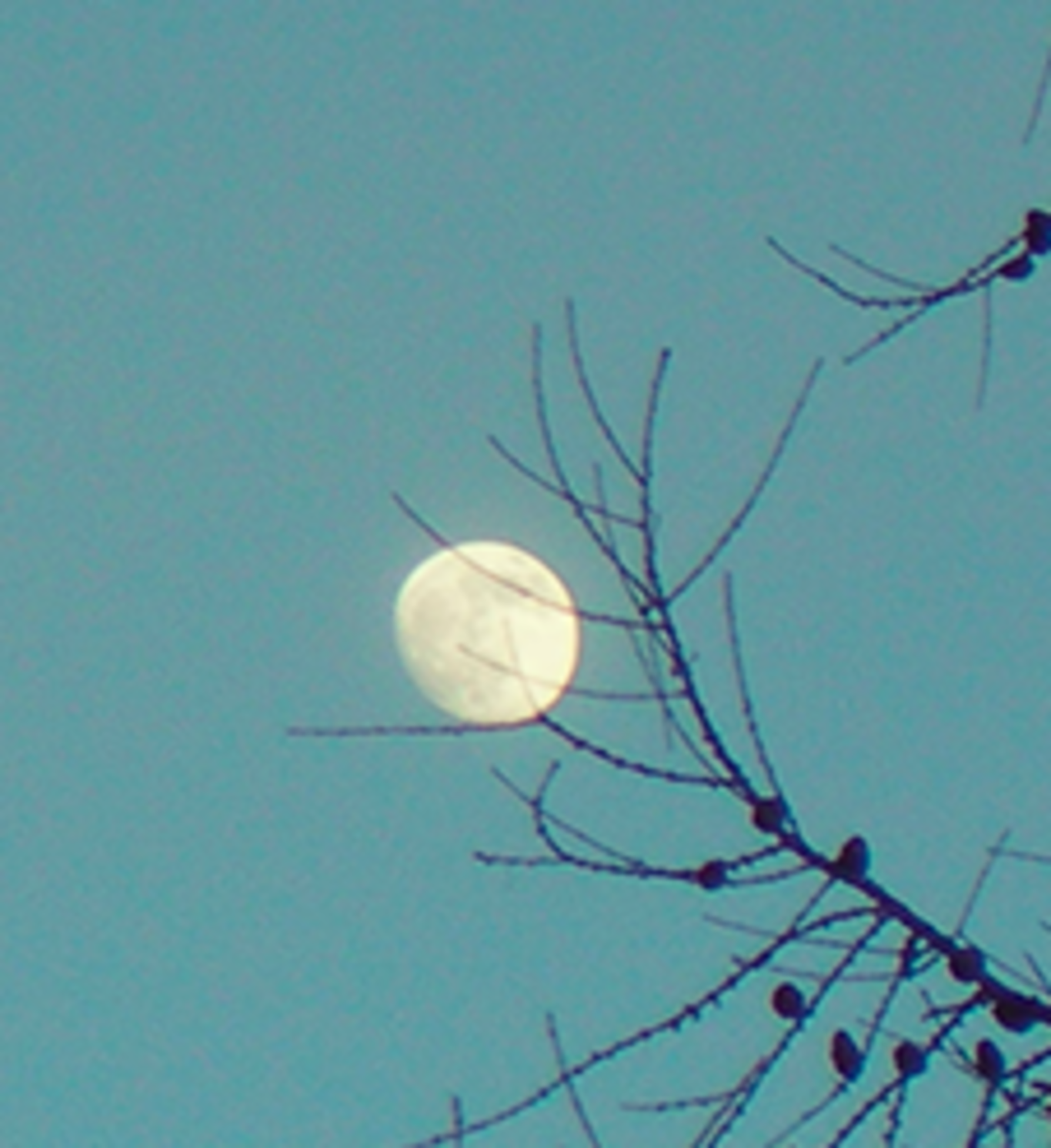 A suon di luna