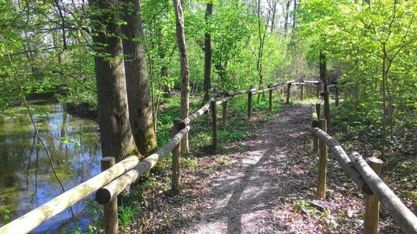 Al Bosco di Alvisopoli, il bosco planiziale del doge