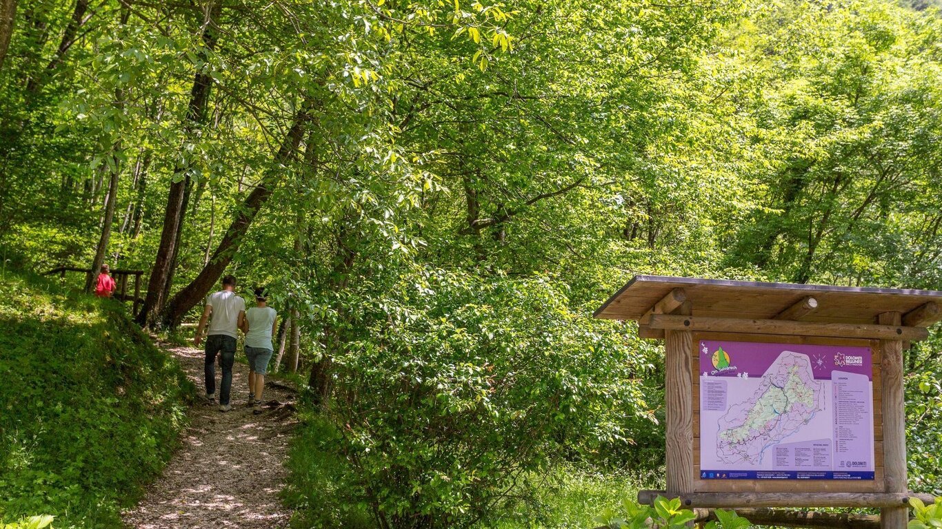 Al Bus del Buson: natura, ascolto, visione, convivialità