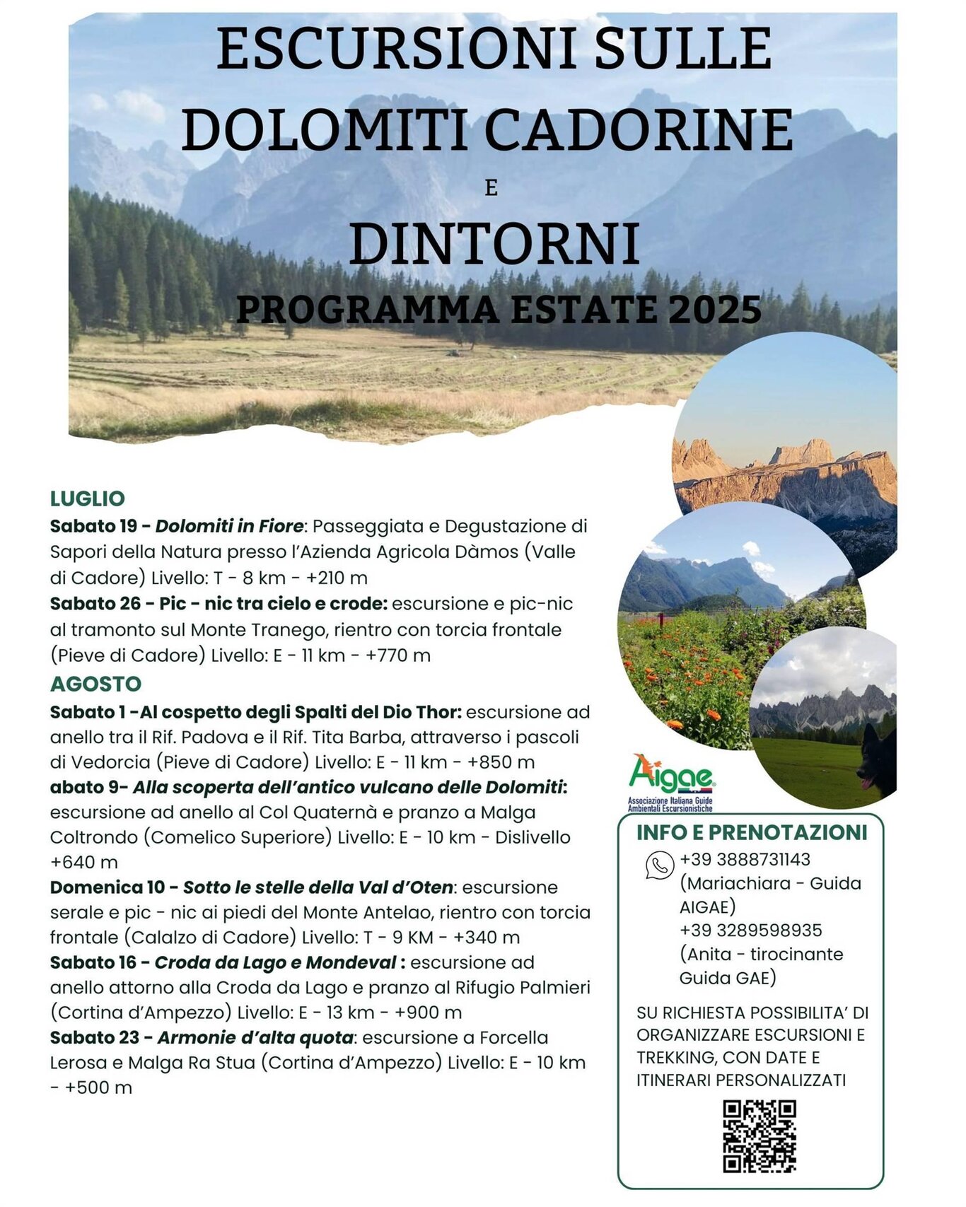 Programma estate Programma estate