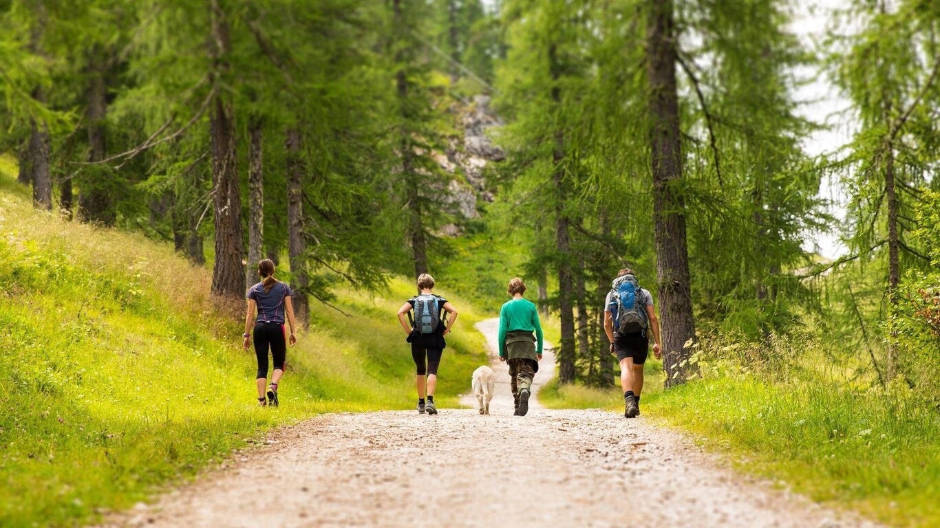 Im Nationalpark Dolomiti Bellunesi in der Höhe