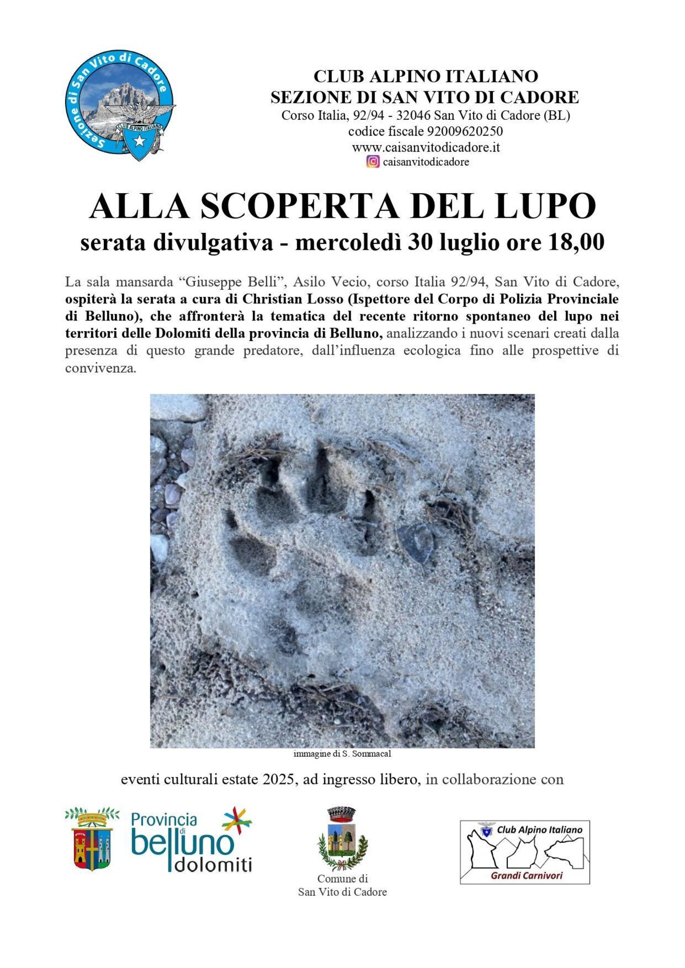 Locandina lupi Locandina lupi