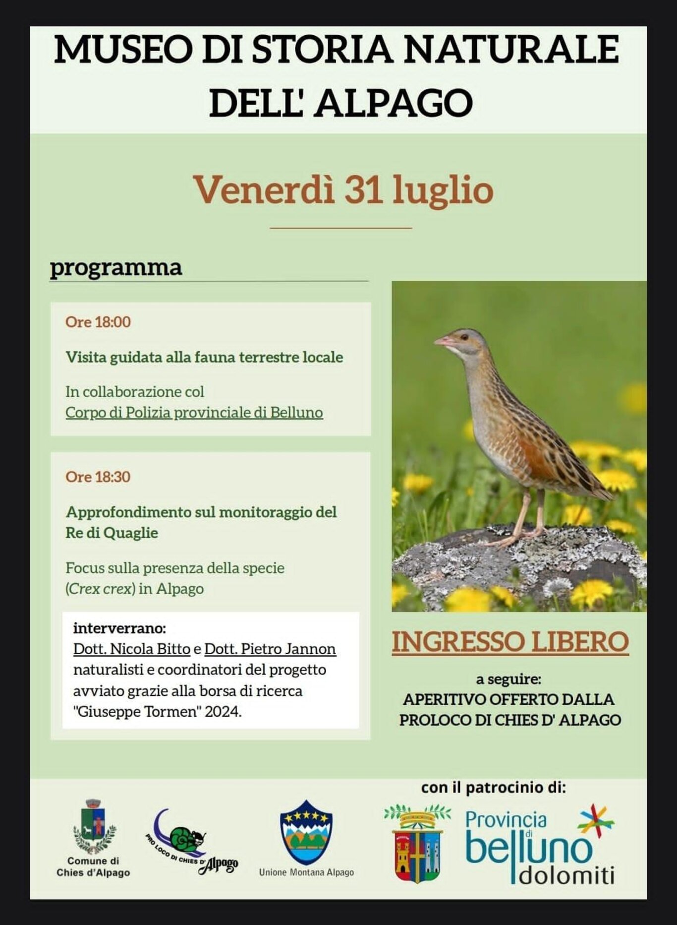 Alla scoperta della fauna dell'Alpago e del Re di Quaglie
