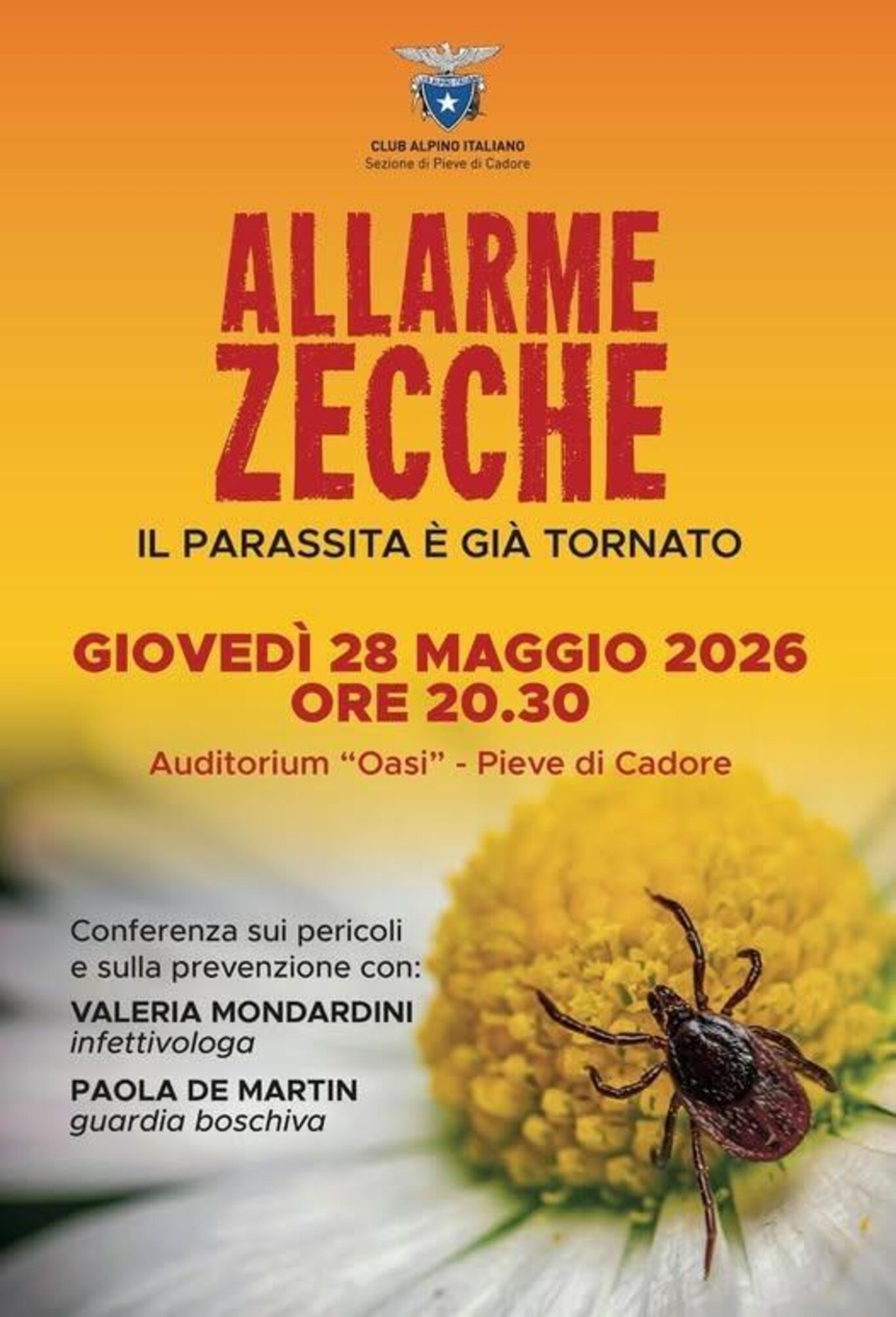 Allarme zecche