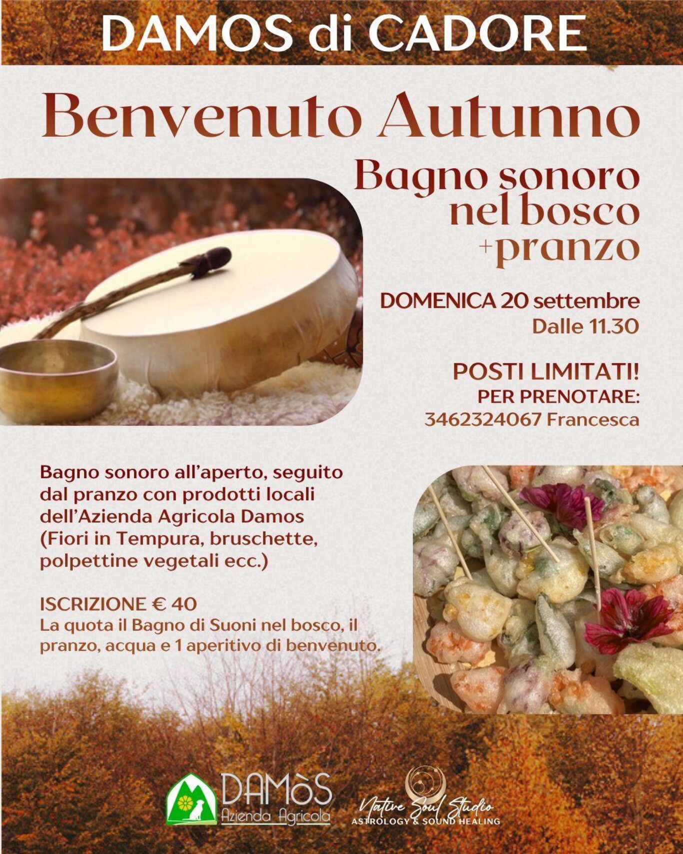 Bagno sonoro nel bosco a Damòs