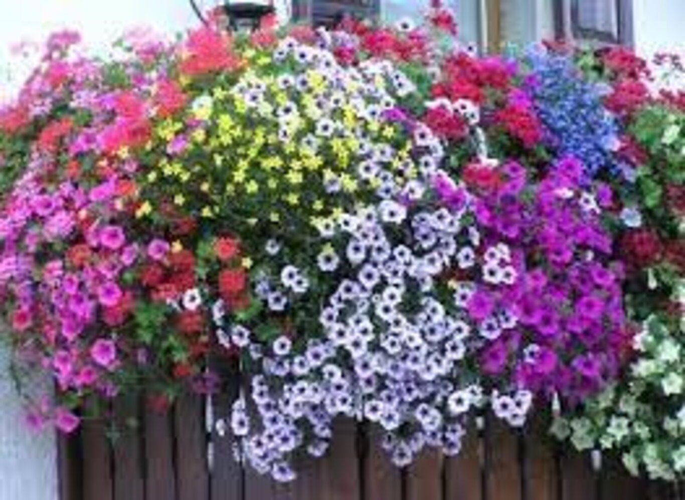 Balcone fiorito 2026: fiore amore e buonumore