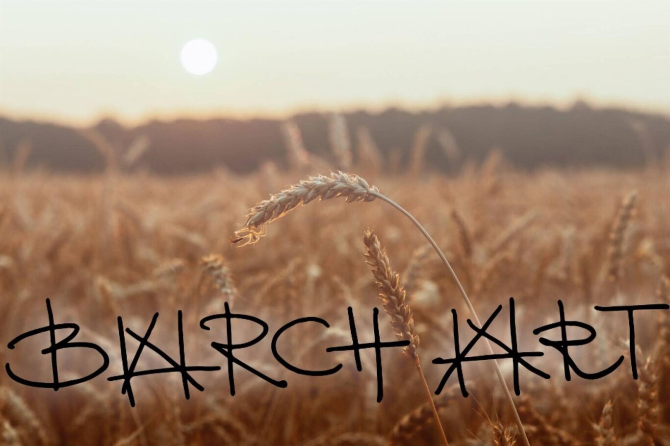 Barch art