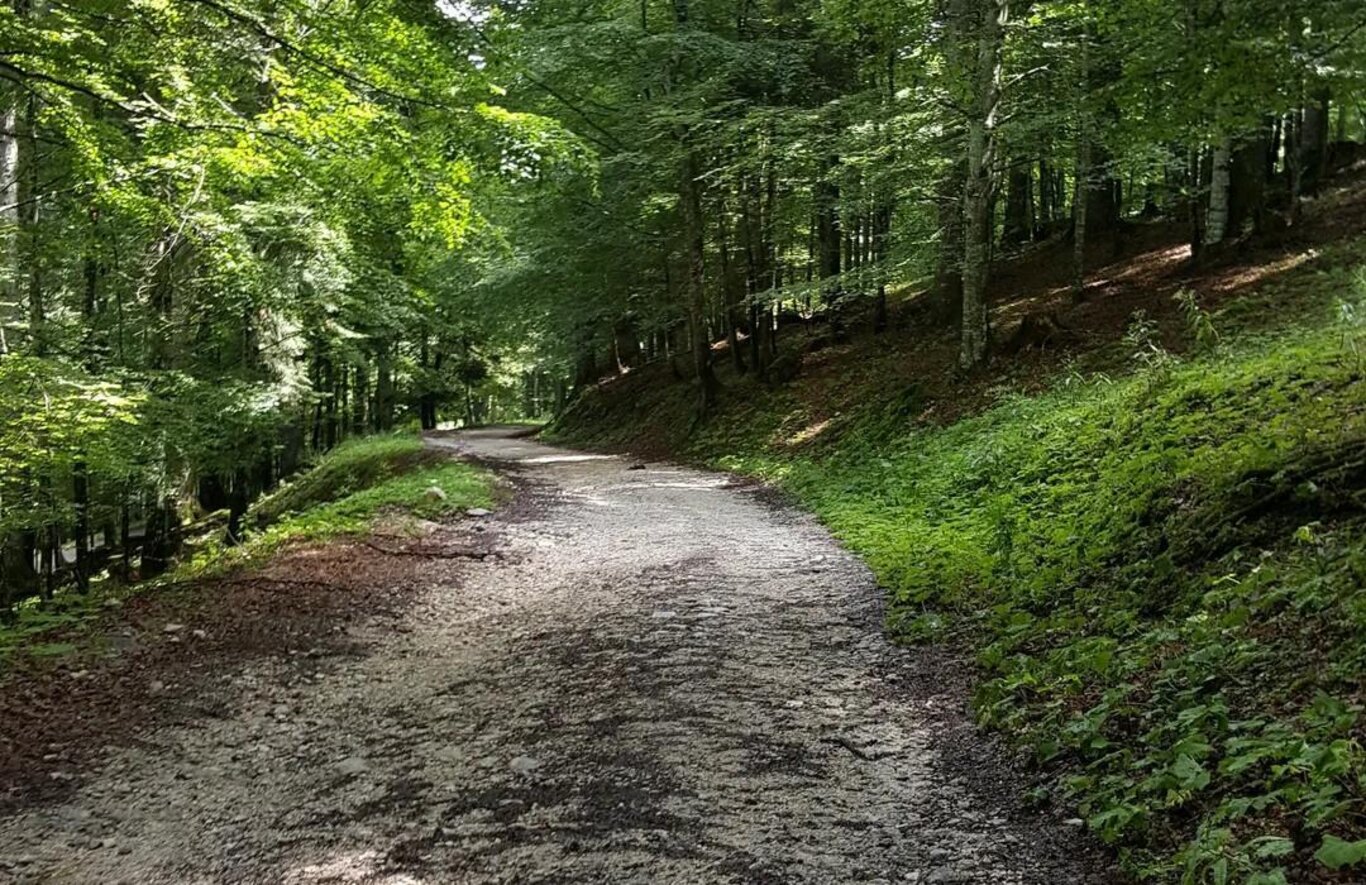 Barefoot Experience e Aperitrek con Vicky OutdoorExperience