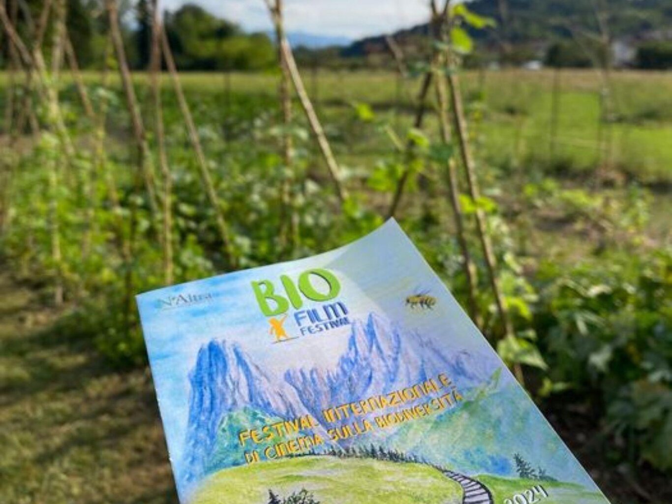Bio film festival