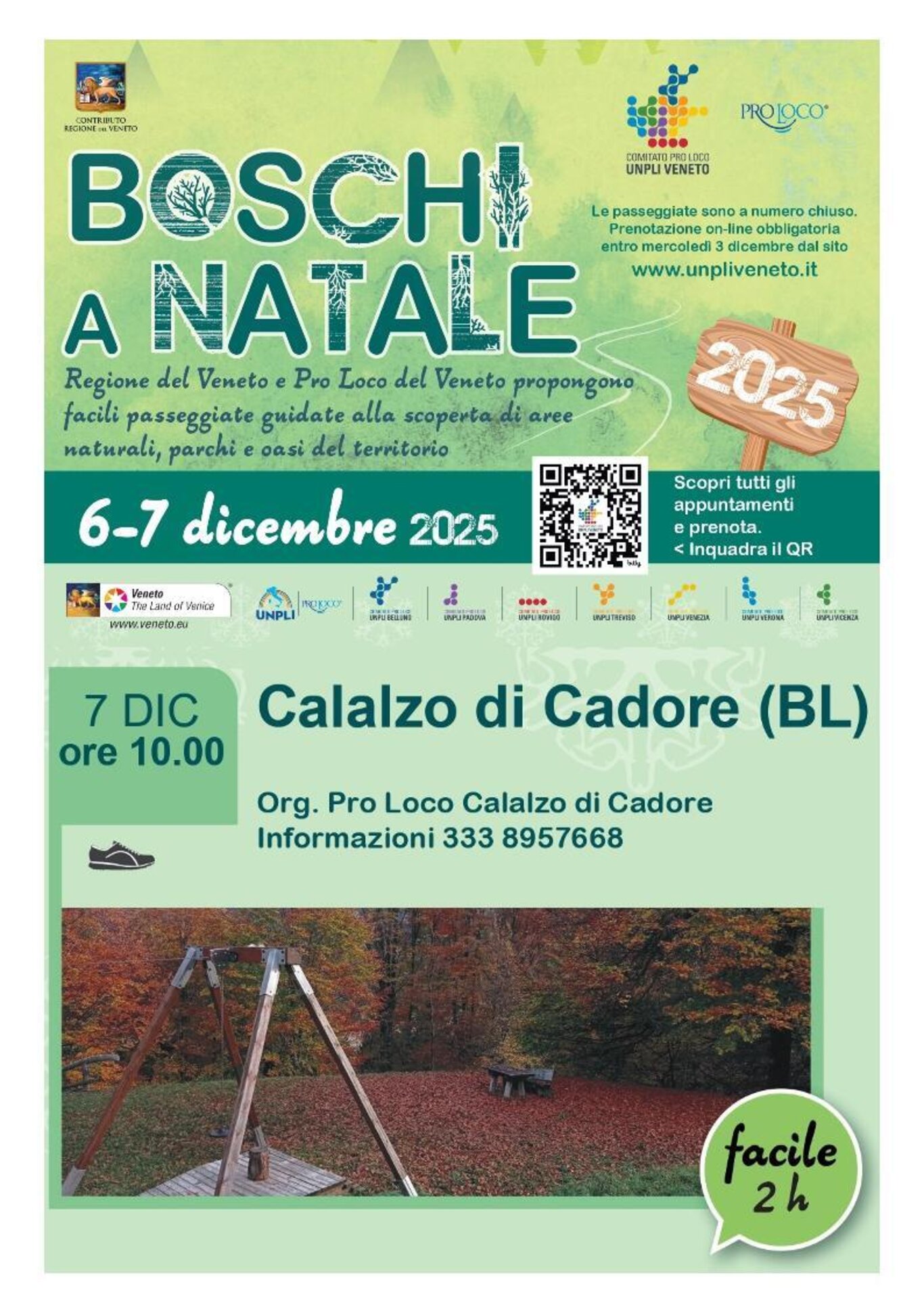 Boschi a Natale .jpg