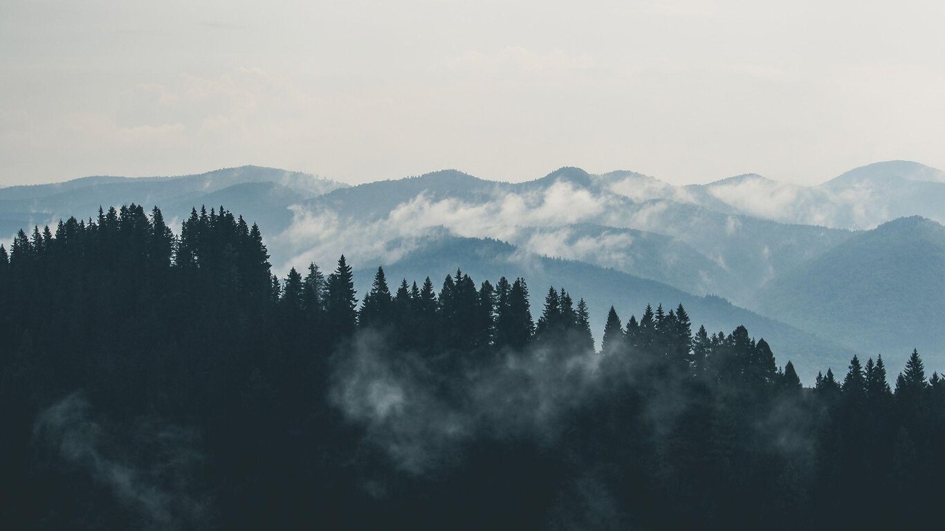 boschi e montagne