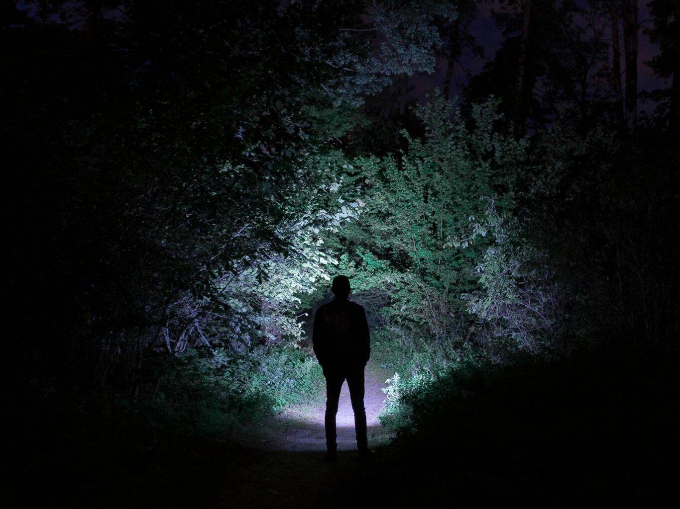 Camminight