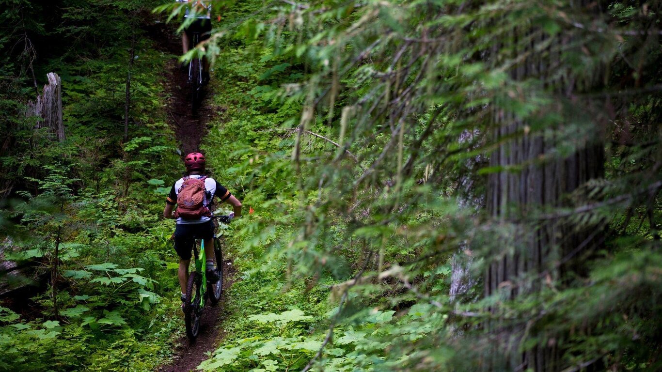 Campionato Nazionale A.N.A. Mountain Bike