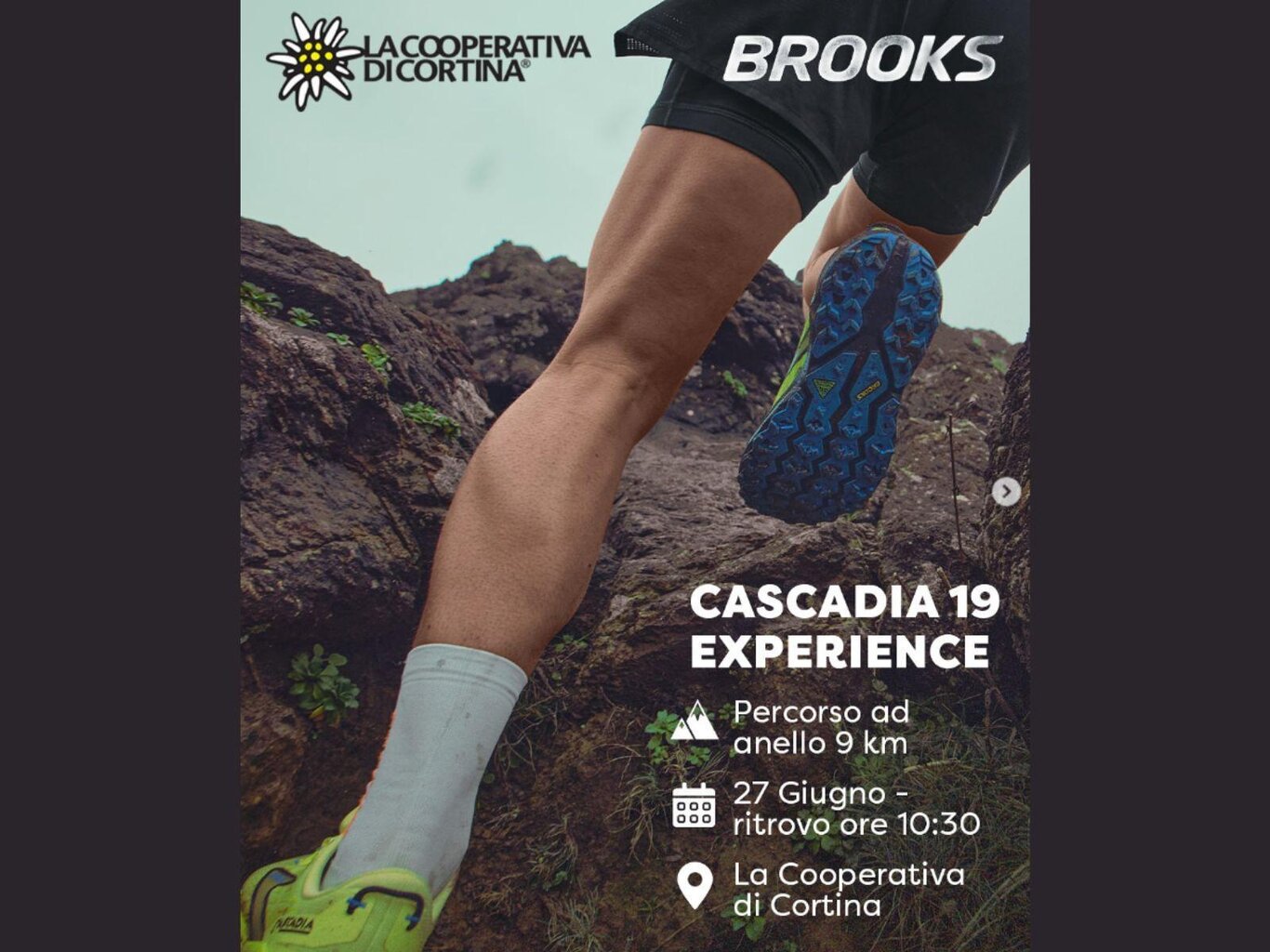 Cascadia 19 Experience