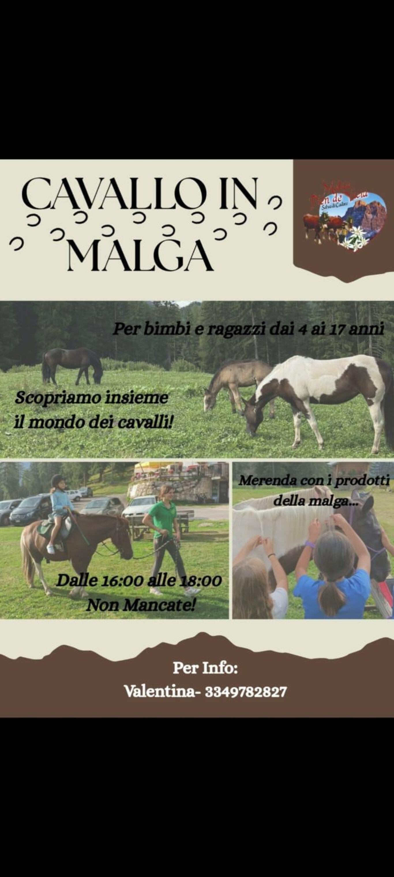Cavallo in malga