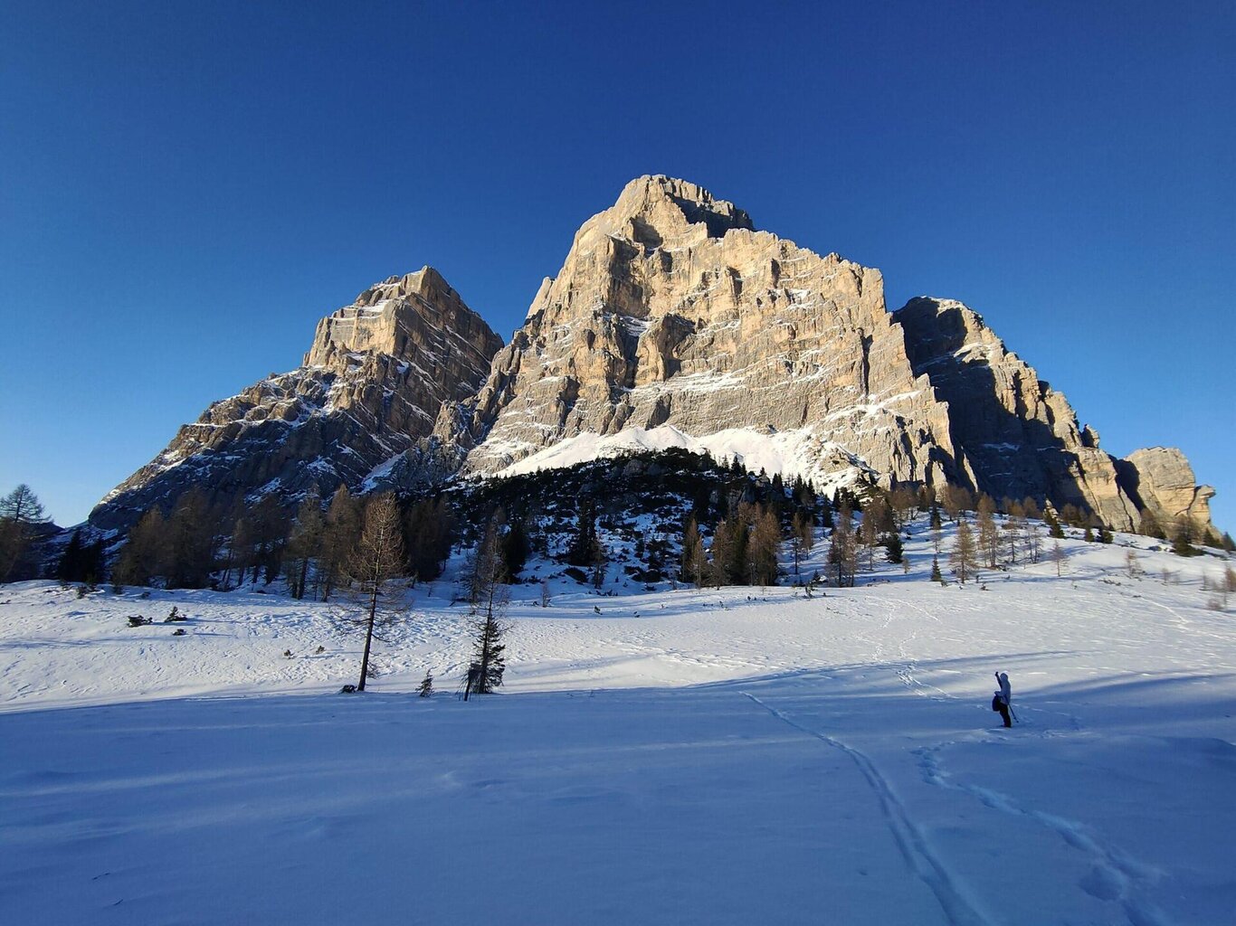 Ciaspolata Ai Piedi Del Pelmo - Guida Michela