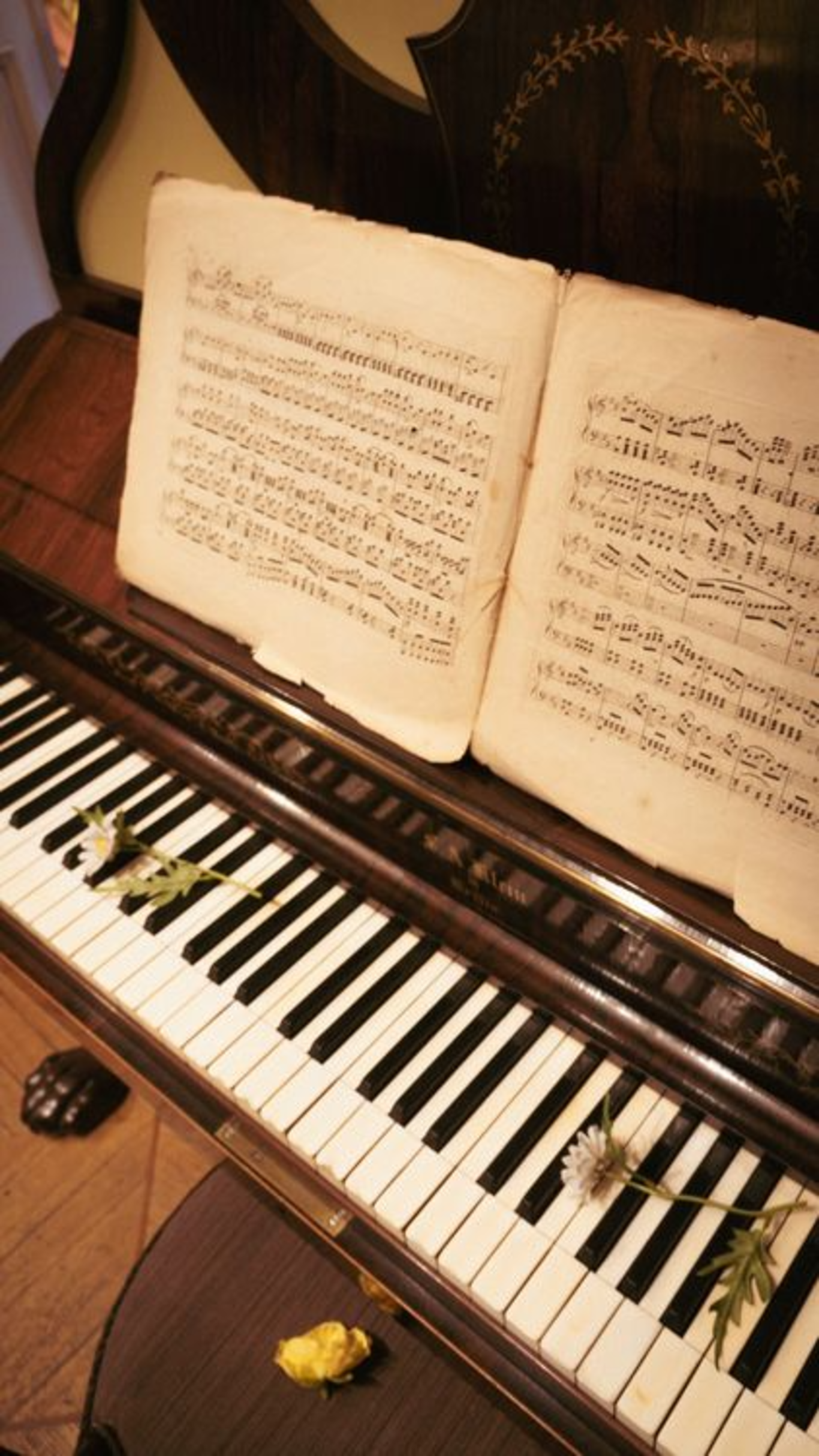 Concerto di musica classica "DOLOMITI SYMPHONIA ORCHESTRA"
