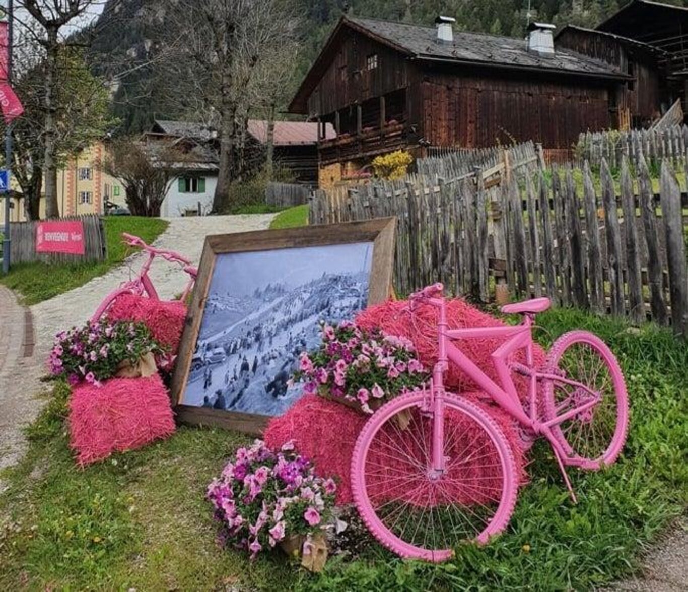 Concorso "Alleghe in Rosa": Addobba la tua Casa per il Giro!