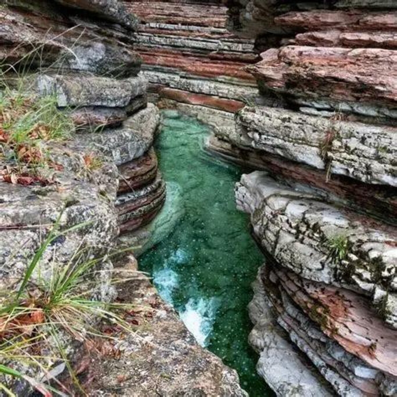 Convegno "Passo leggero, sguardo aperto: l’accoglienza nell’era dei social."