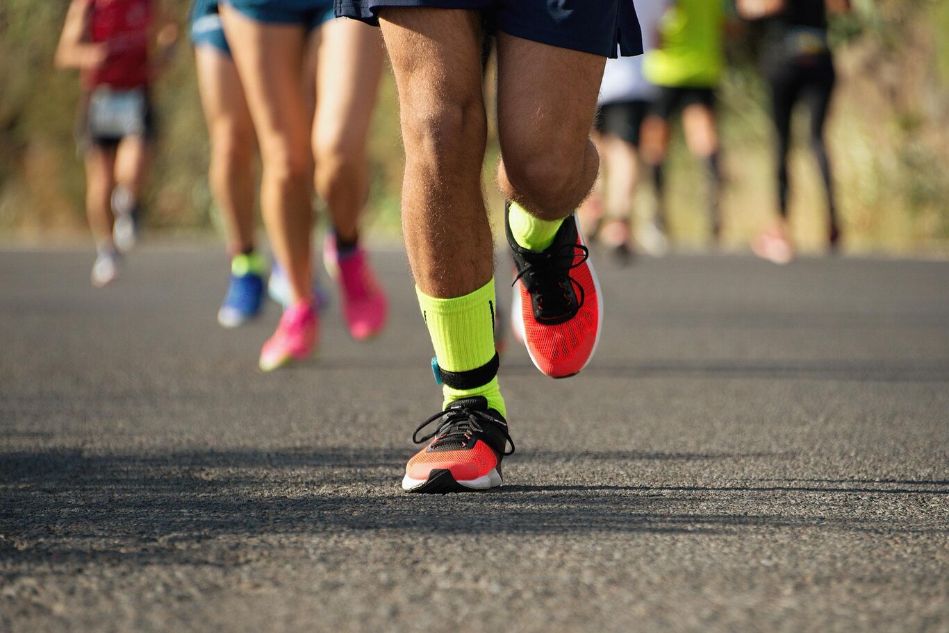 Corsa goliardica ad ostacoli