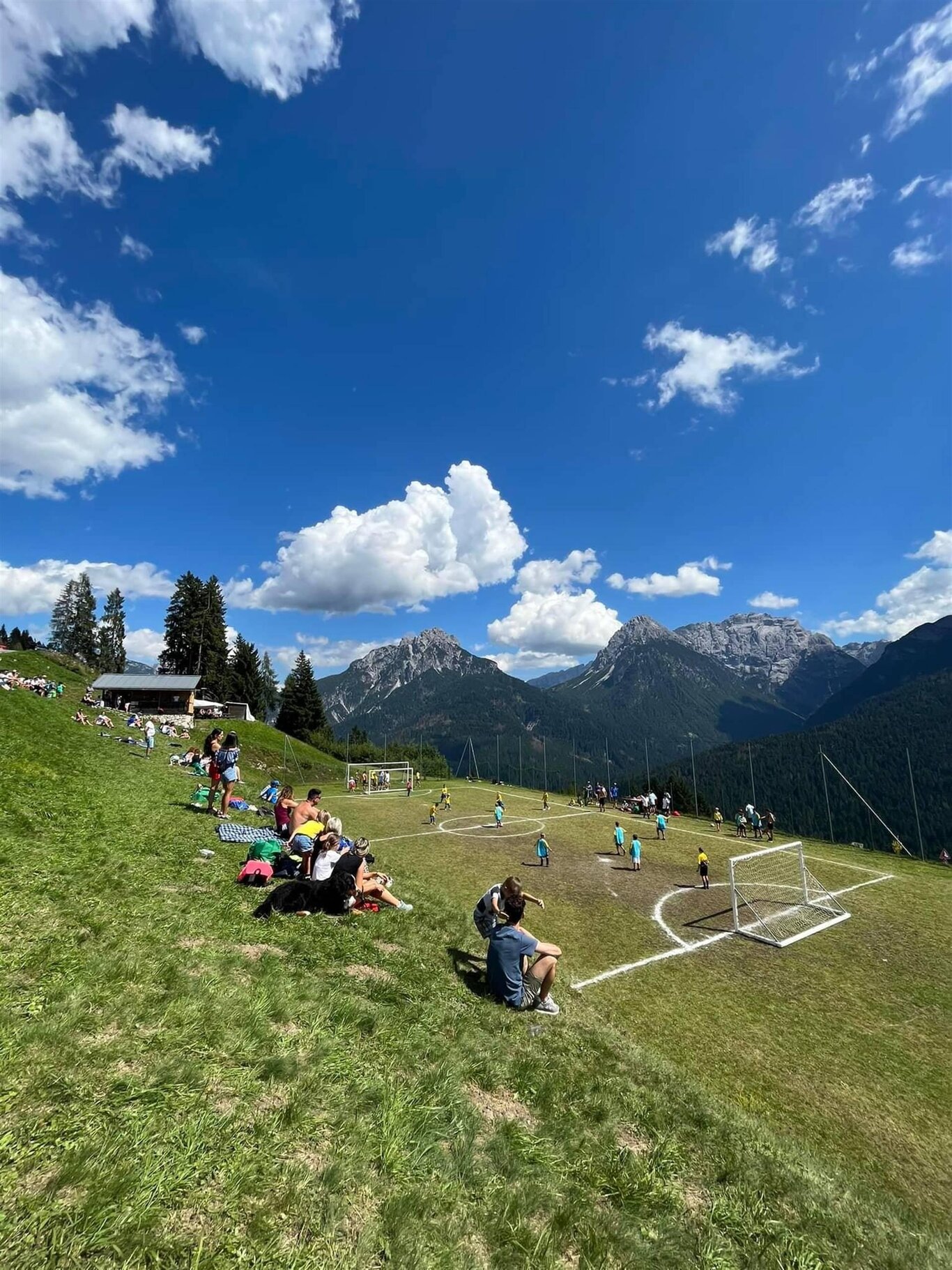 calcio calcio