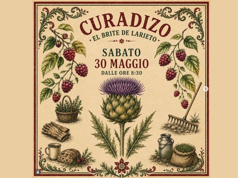 Curadizio 2026