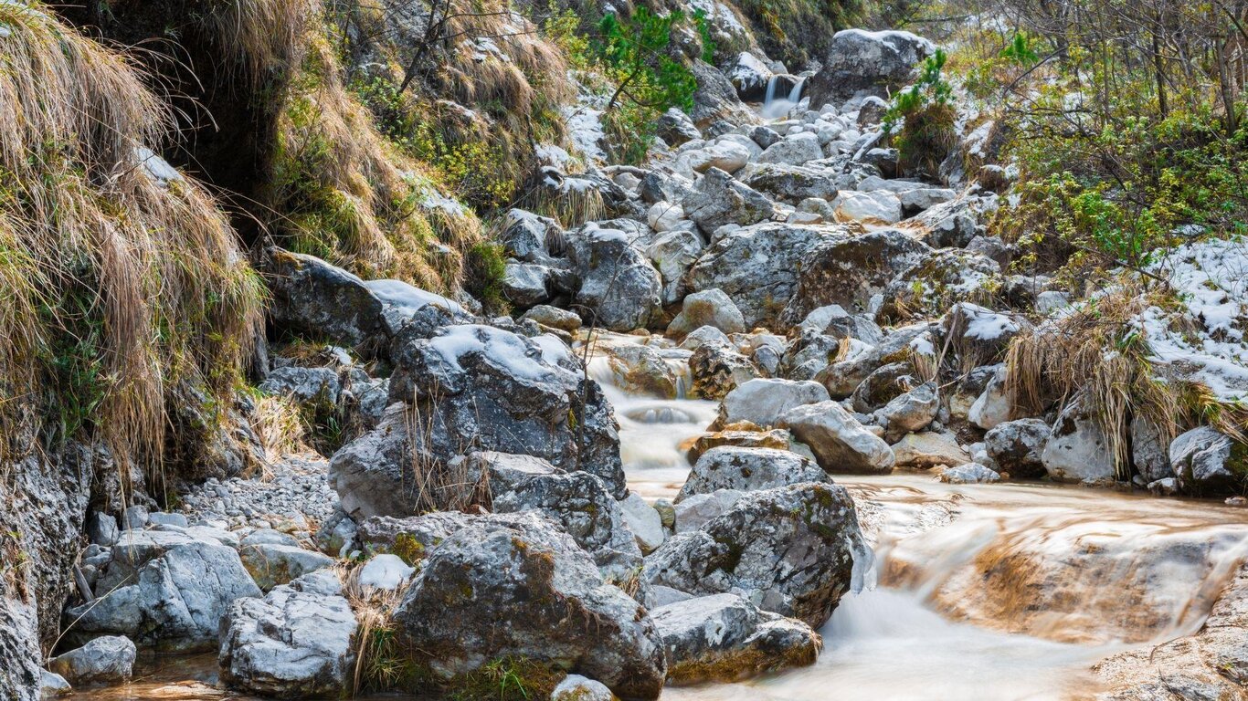 Torrente