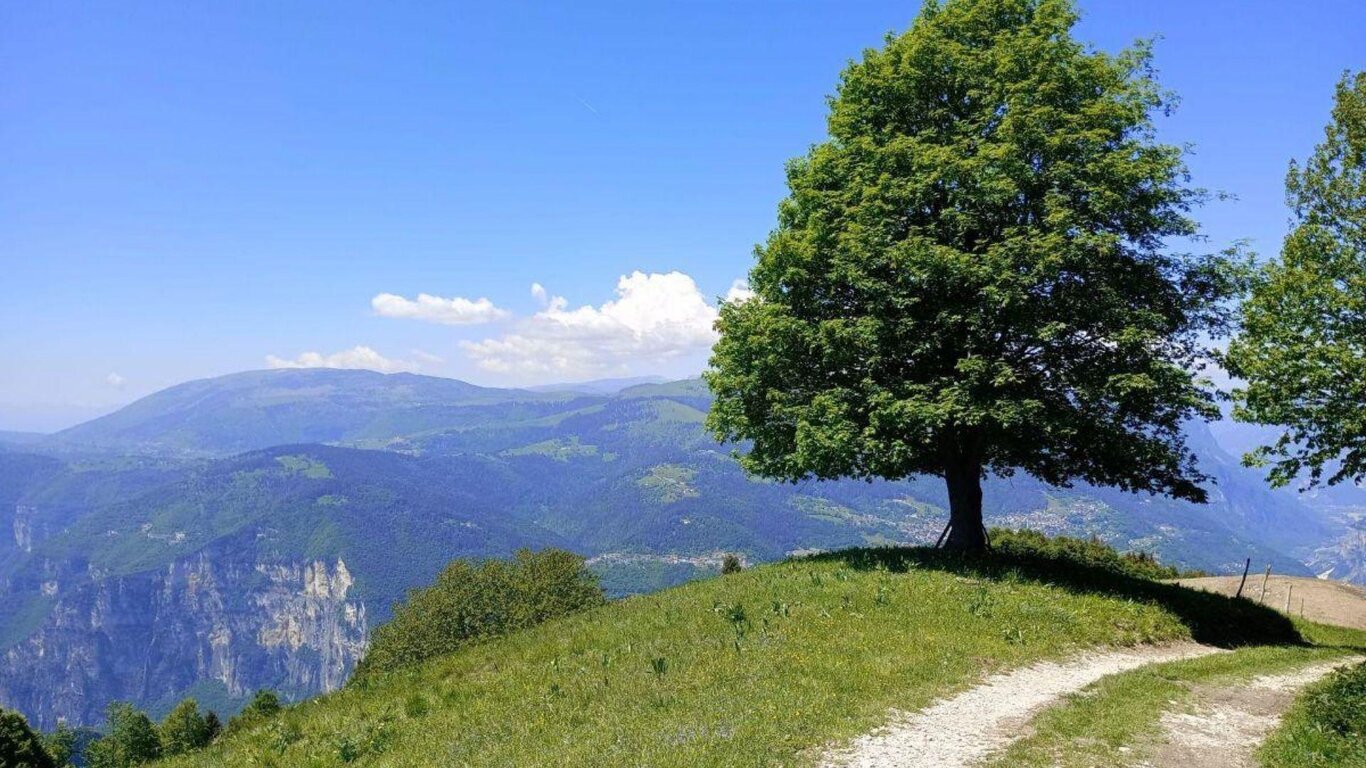Degustazione di formaggi tipici sul Grappa