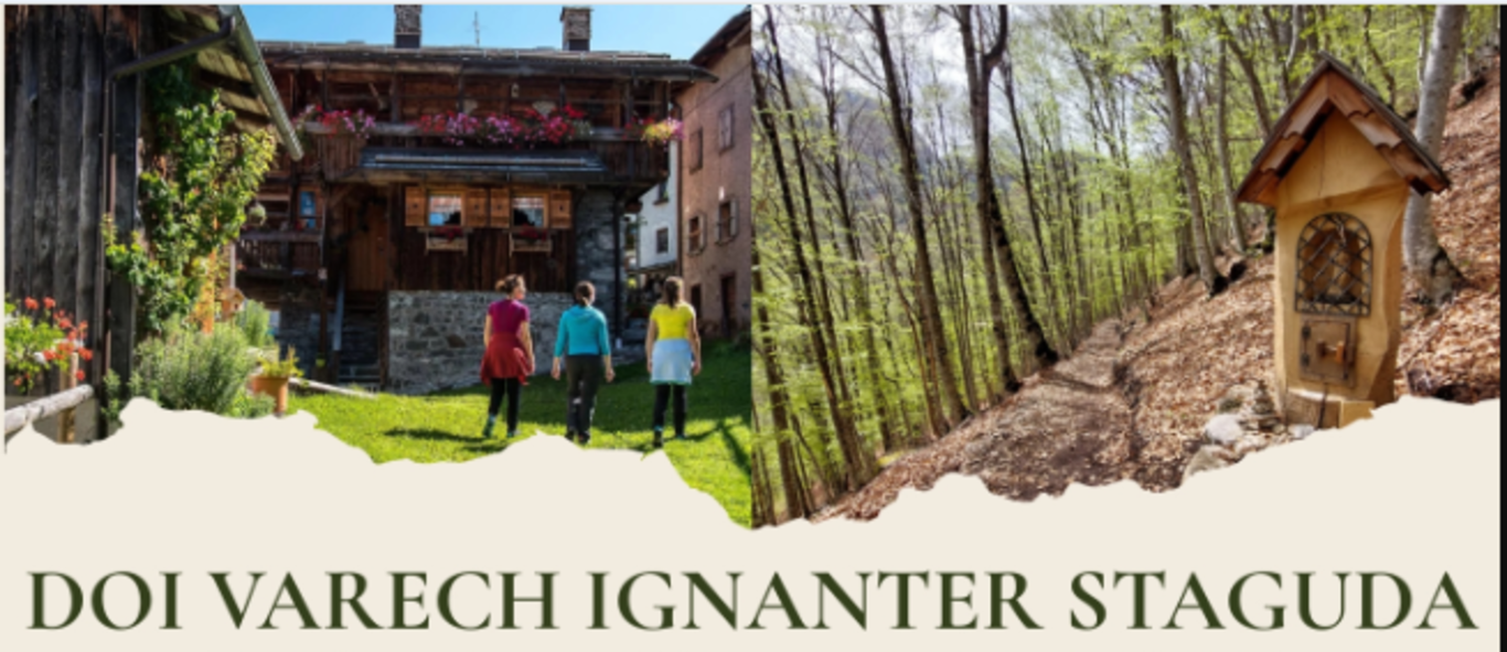 Doi varech ignanter Staguda