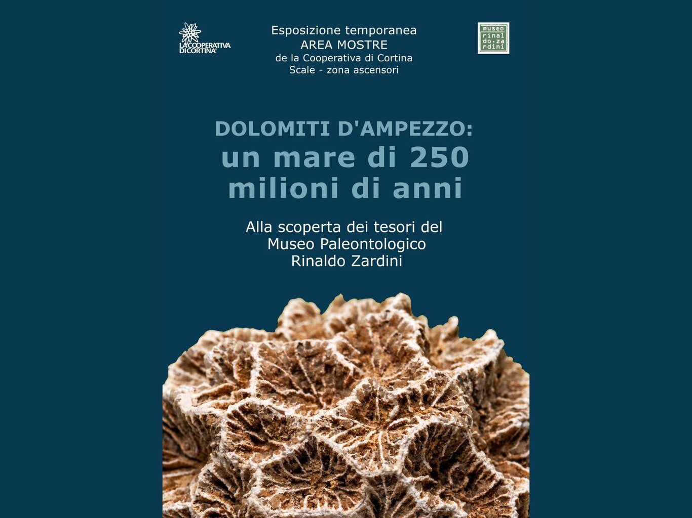Dolomiti d'Ampezzo. Un mare di 250 milioni di anni