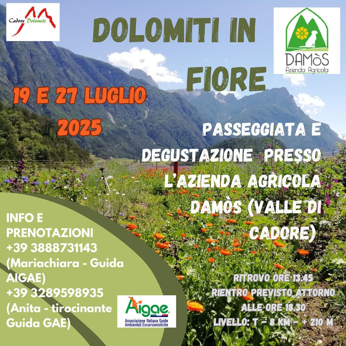Dolomiti in fiore Dolomiti in fiore